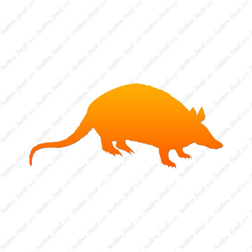 Opossum Armadillo