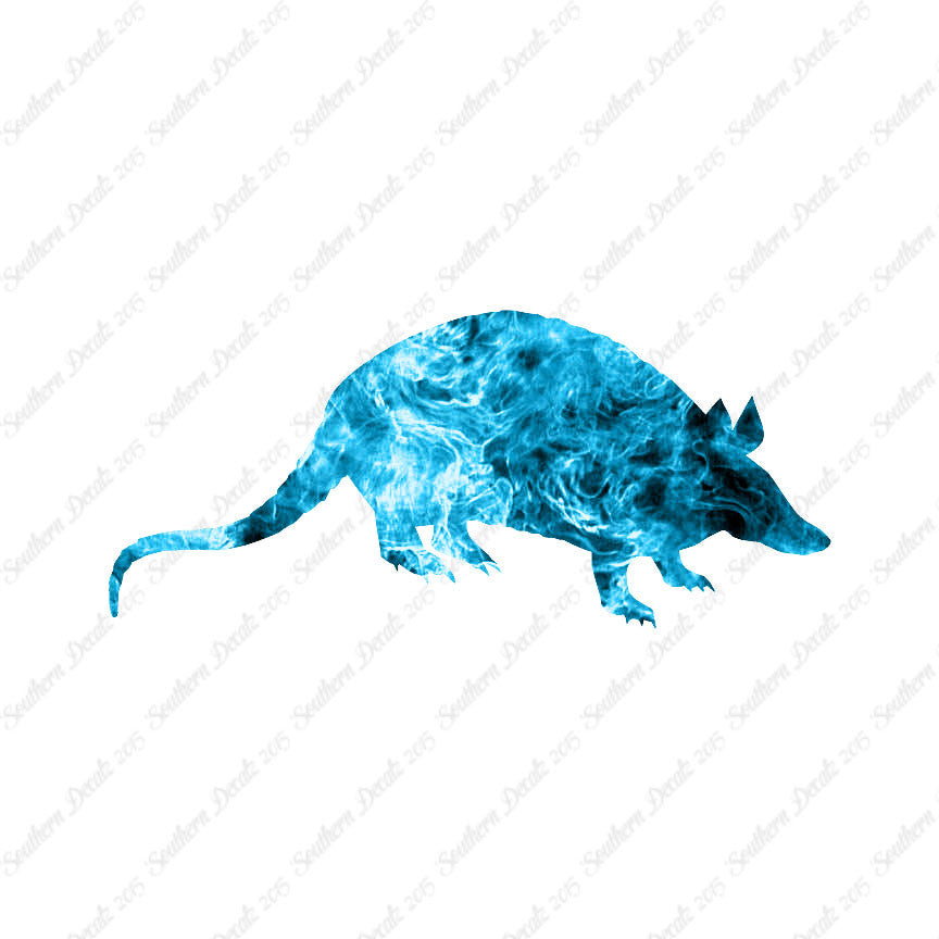 Opossum Armadillo