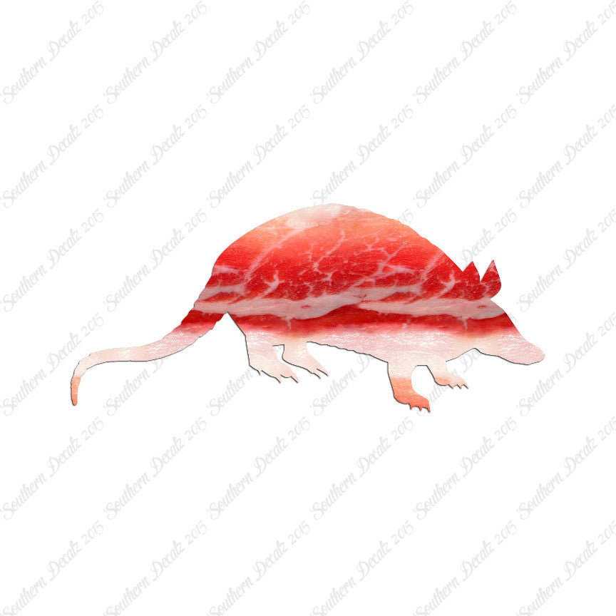 Opossum Armadillo