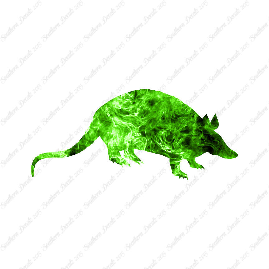 Opossum Armadillo
