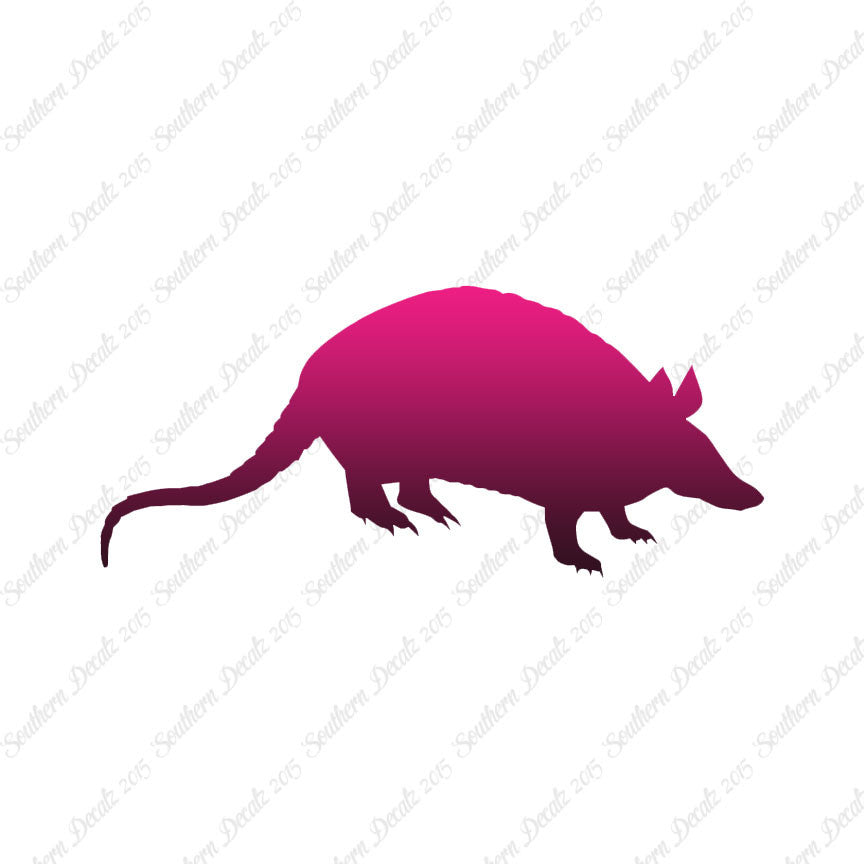 Opossum Armadillo