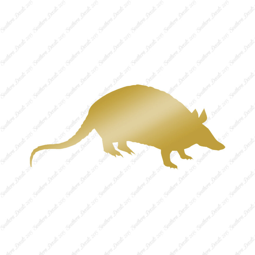 Opossum Armadillo