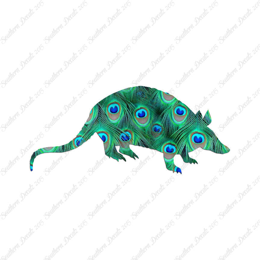 Opossum Armadillo