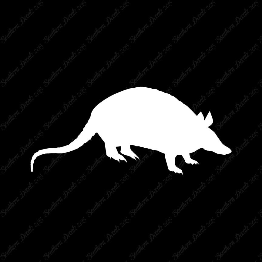 Opossum Armadillo