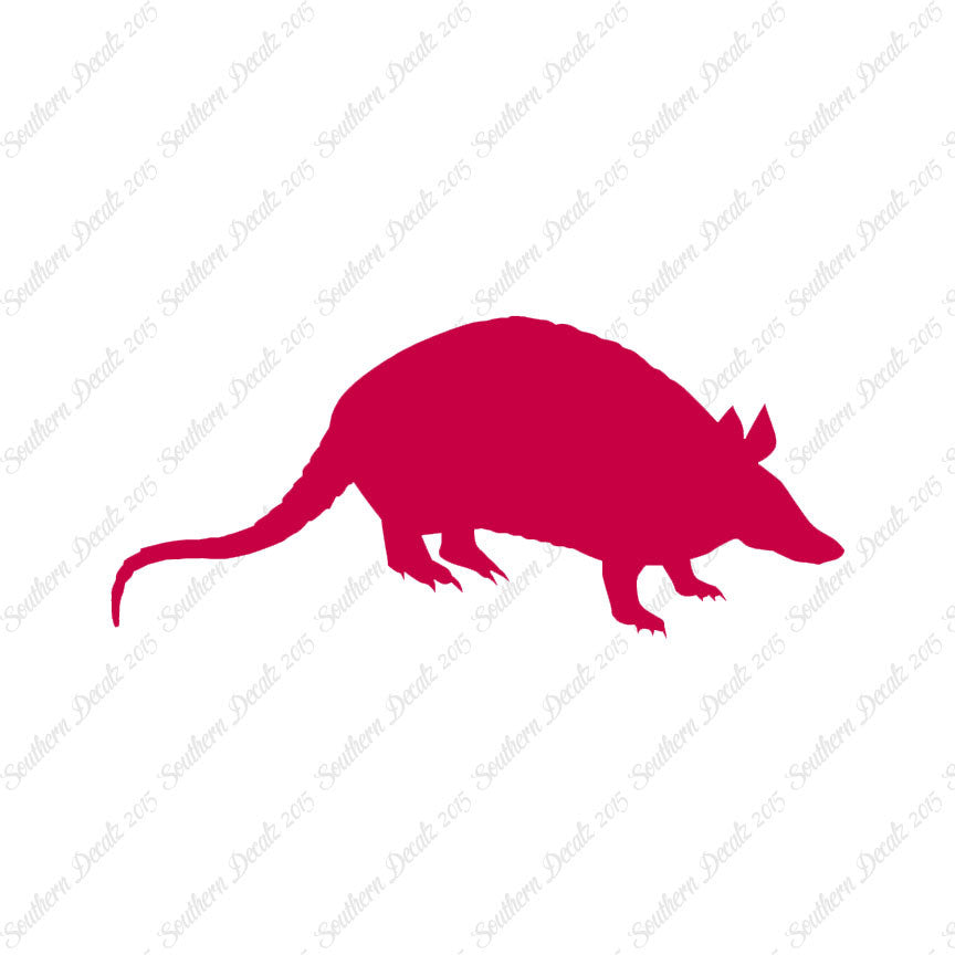 Opossum Armadillo