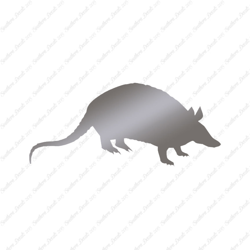 Opossum Armadillo