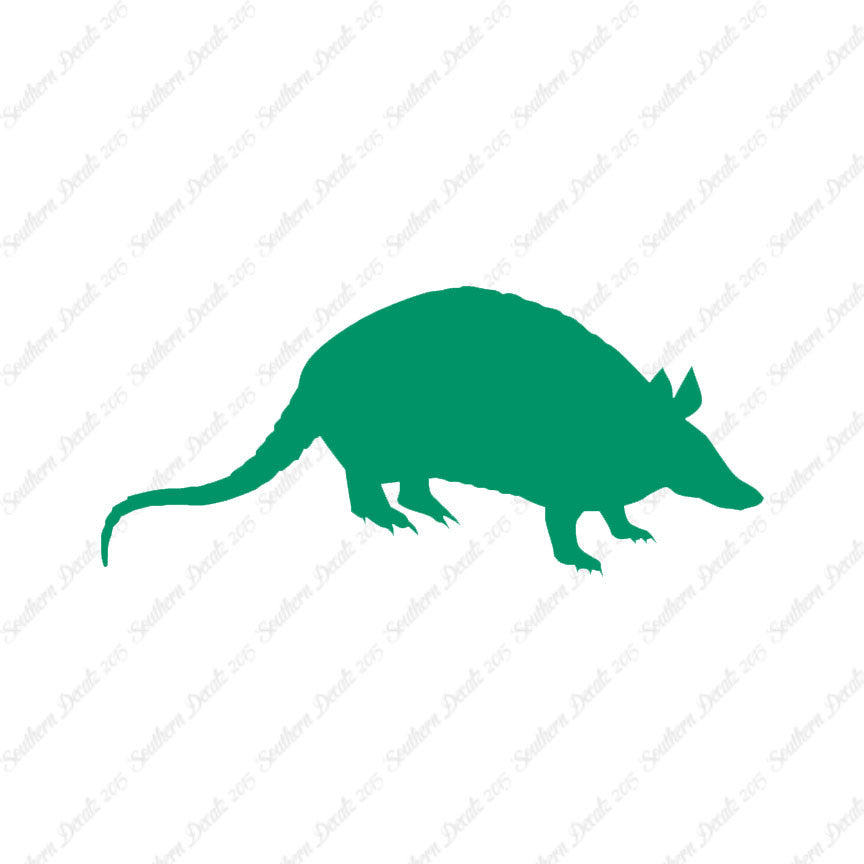 Opossum Armadillo
