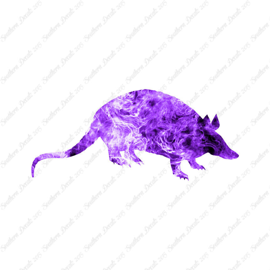 Opossum Armadillo