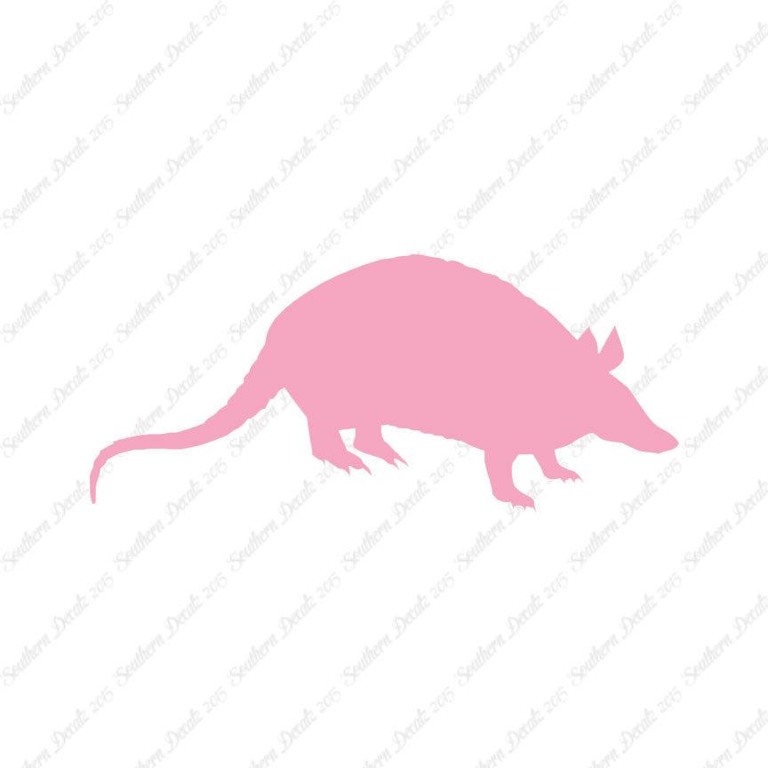 Opossum Armadillo
