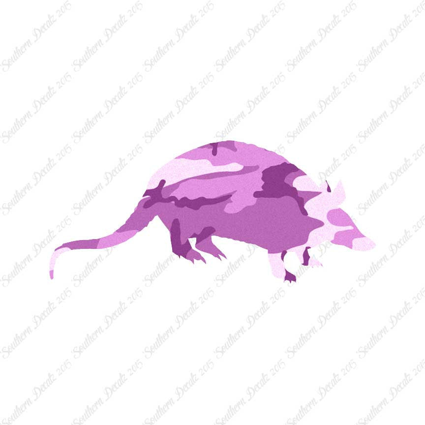 Opossum Armadillo