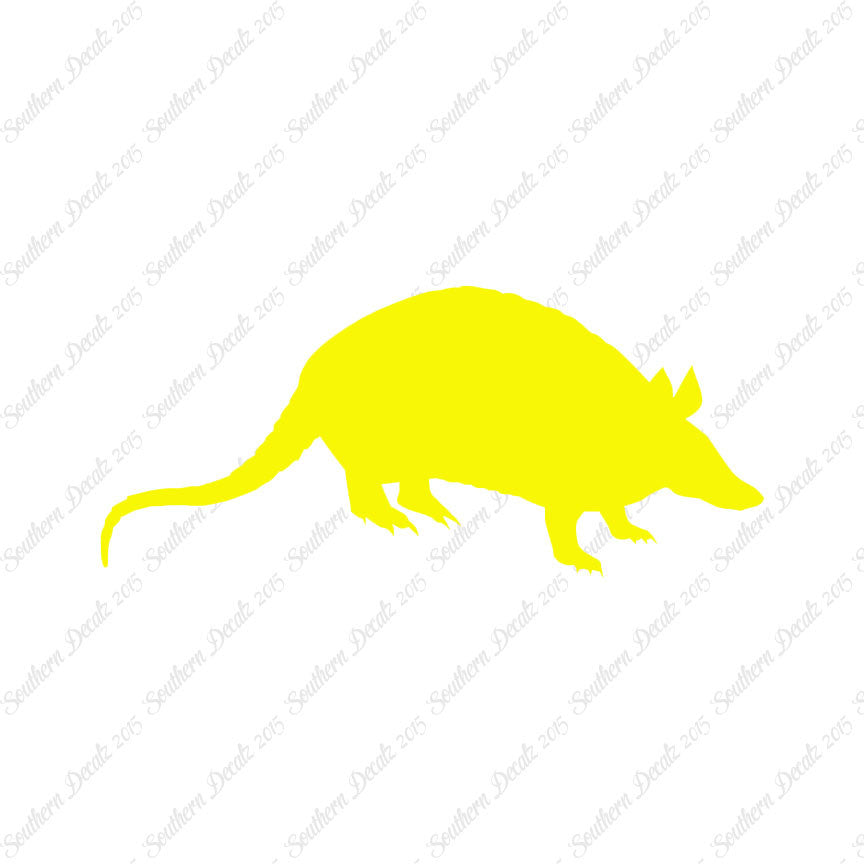 Opossum Armadillo