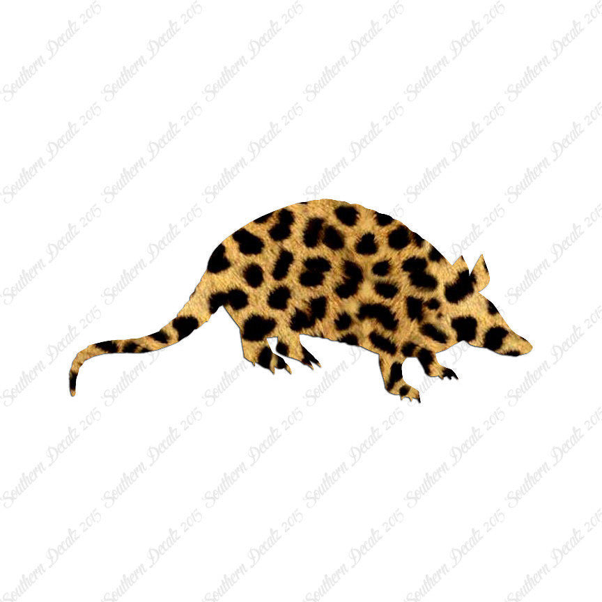 Opossum Armadillo