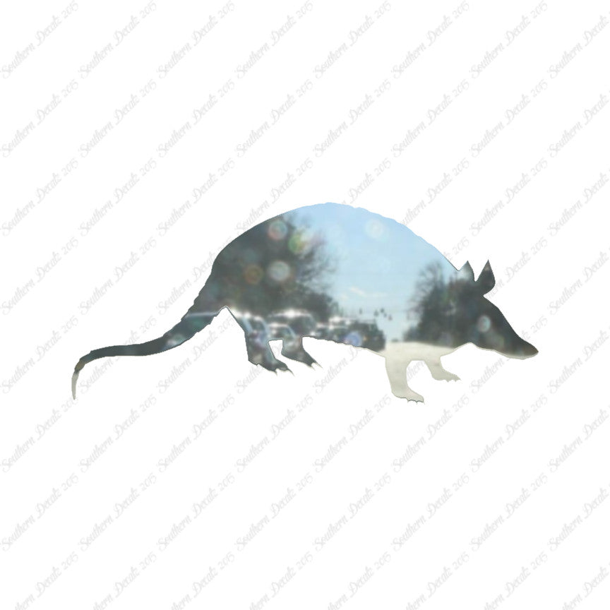 Opossum Armadillo