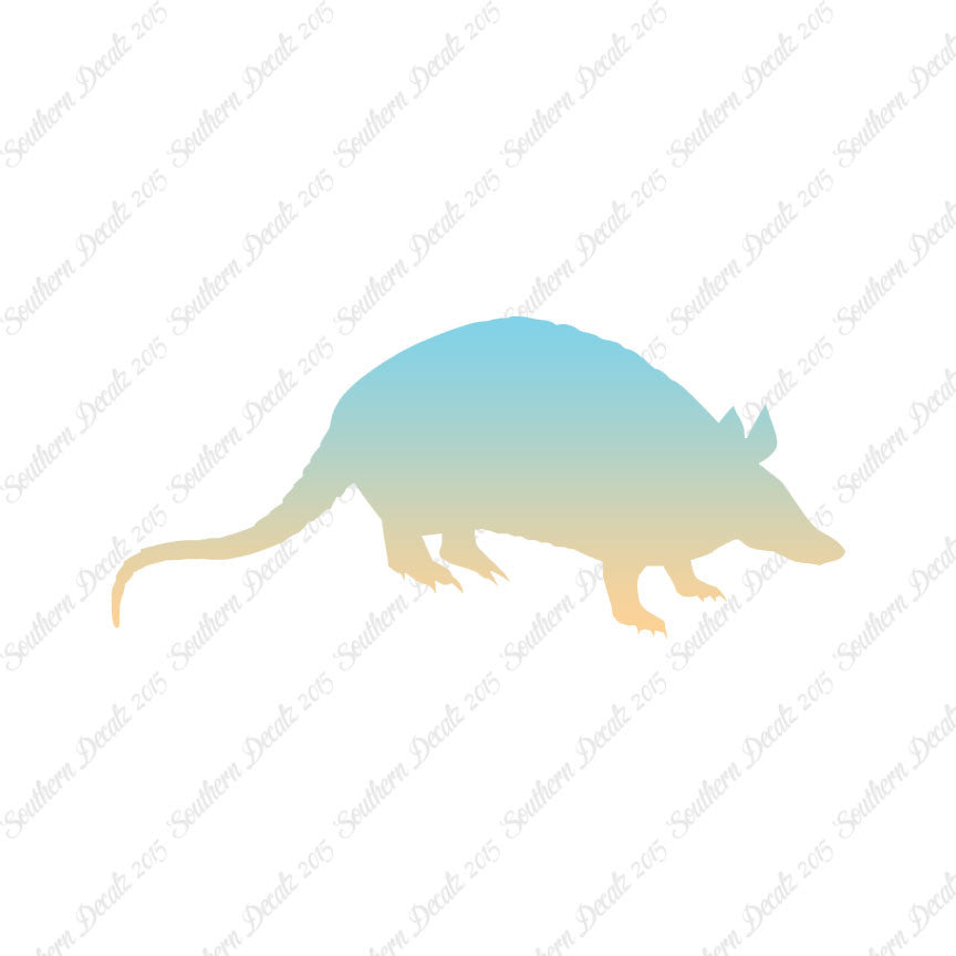 Opossum Armadillo