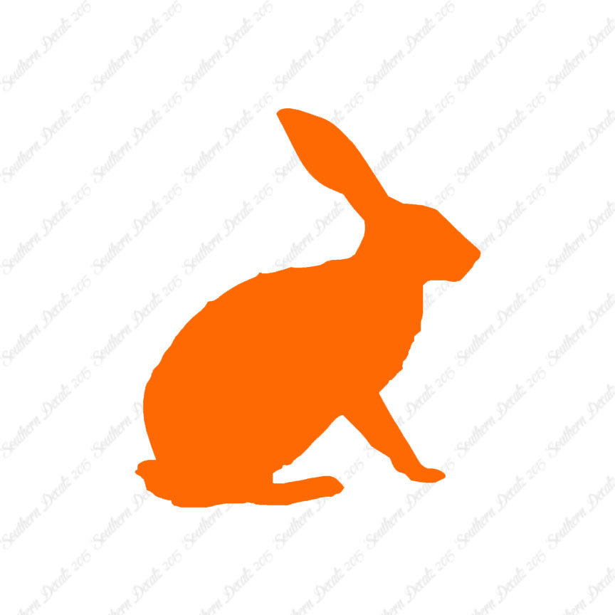 Bunny Jack Rabbit