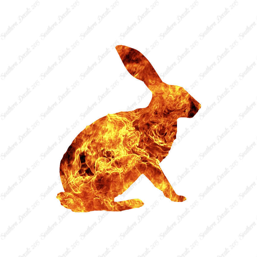 Bunny Jack Rabbit