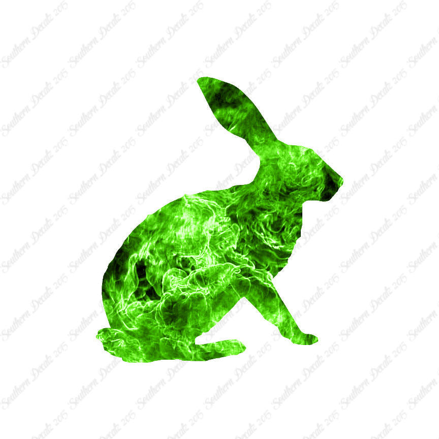 Bunny Jack Rabbit