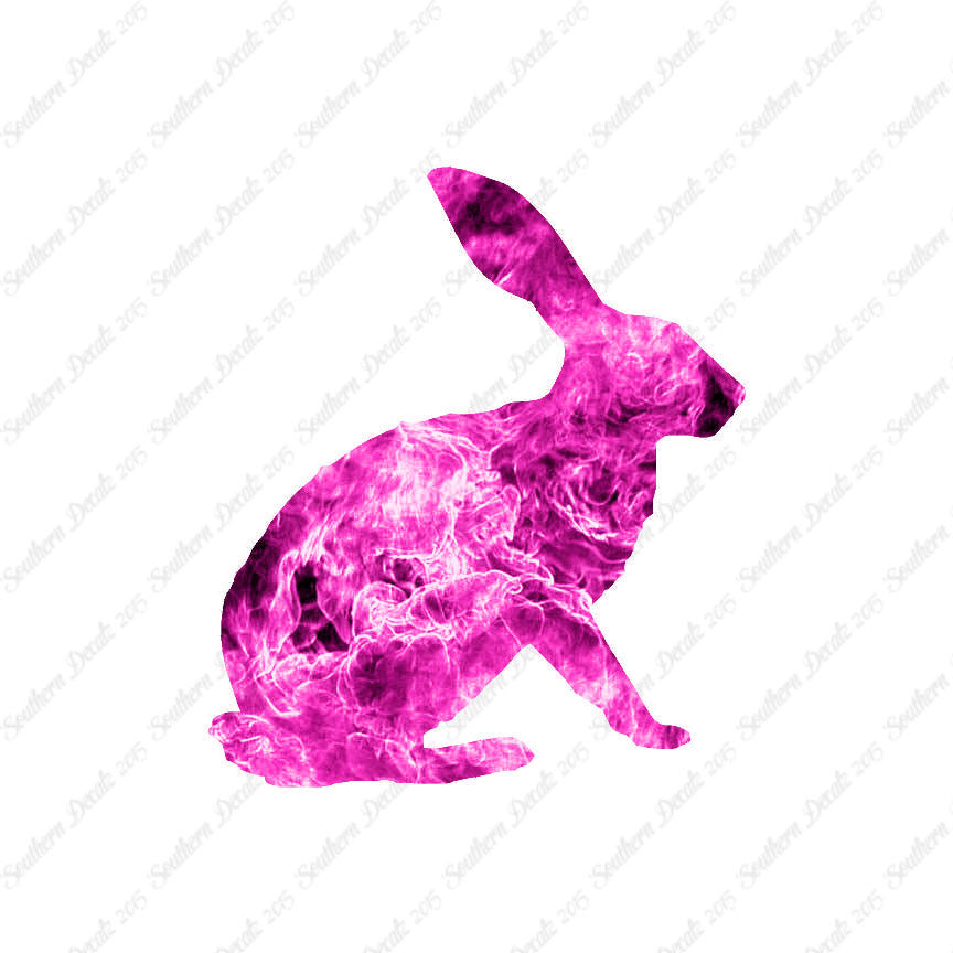 Bunny Jack Rabbit