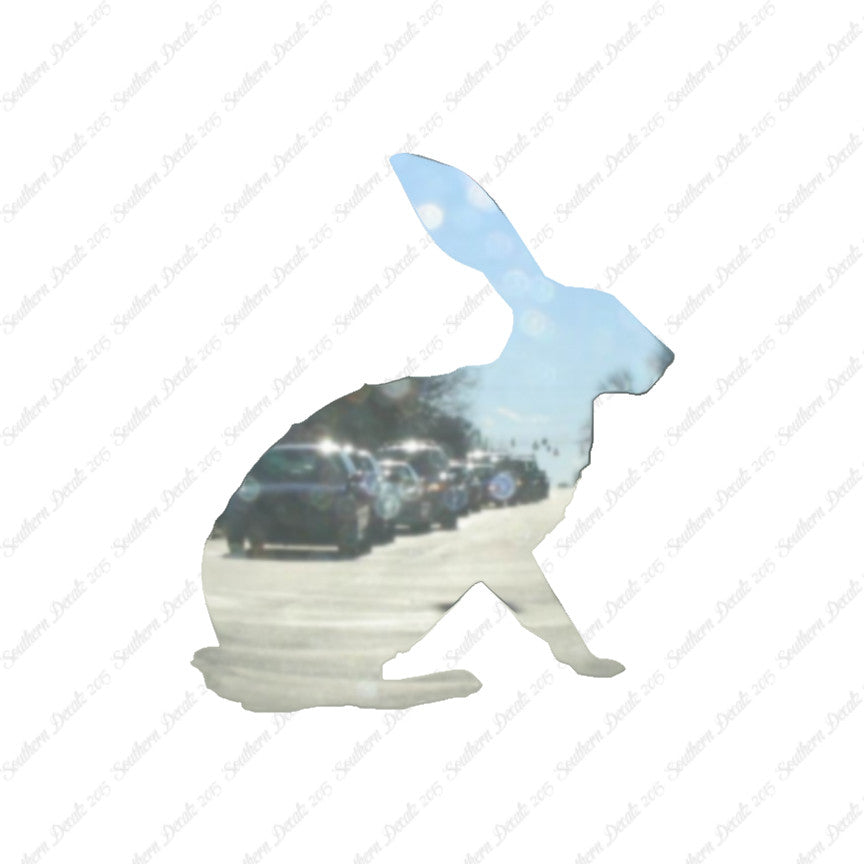 Bunny Jack Rabbit