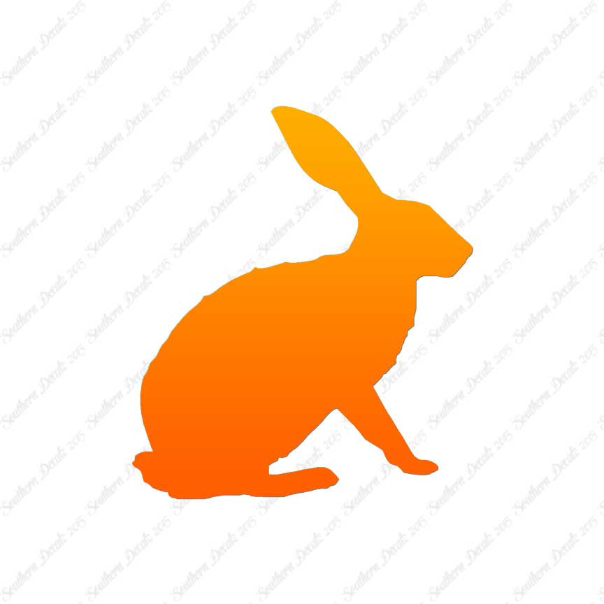 Bunny Jack Rabbit
