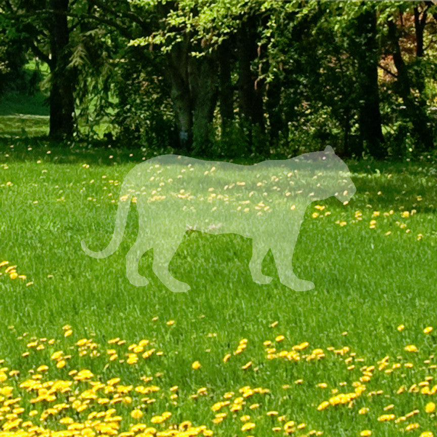 Big Cat Panther Leopard Silhouette