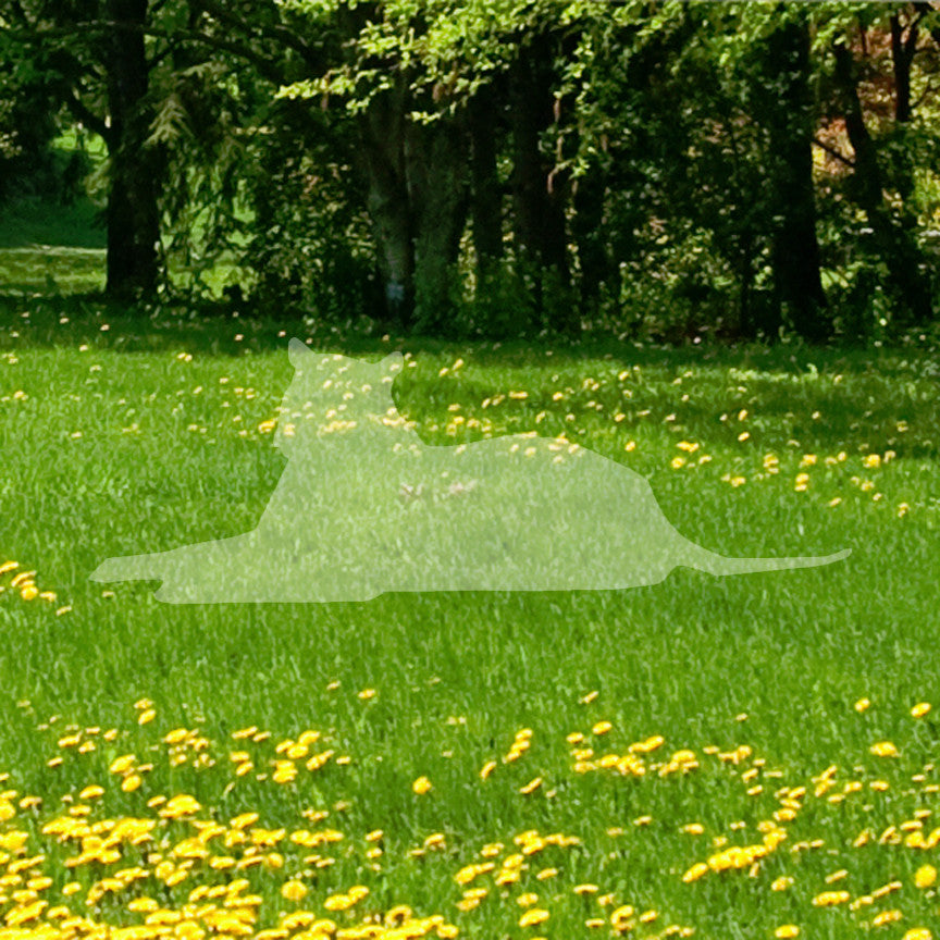 Big Cat Leopard Panther Silhouette