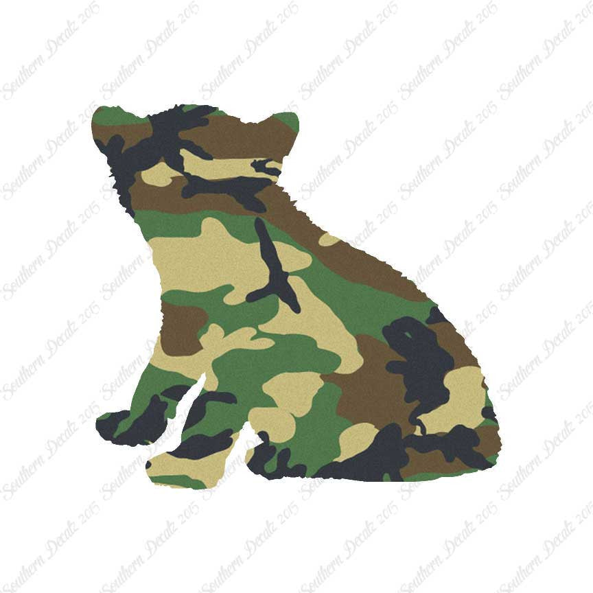 Big Cat Cub Kitten