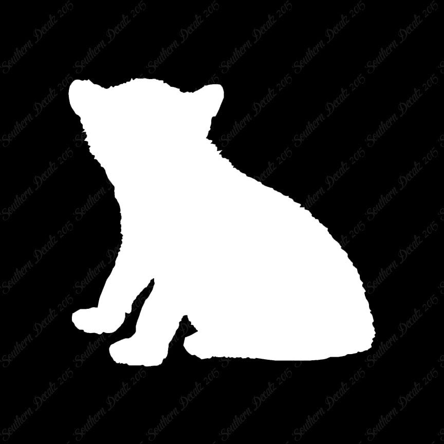 Big Cat Cub Kitten