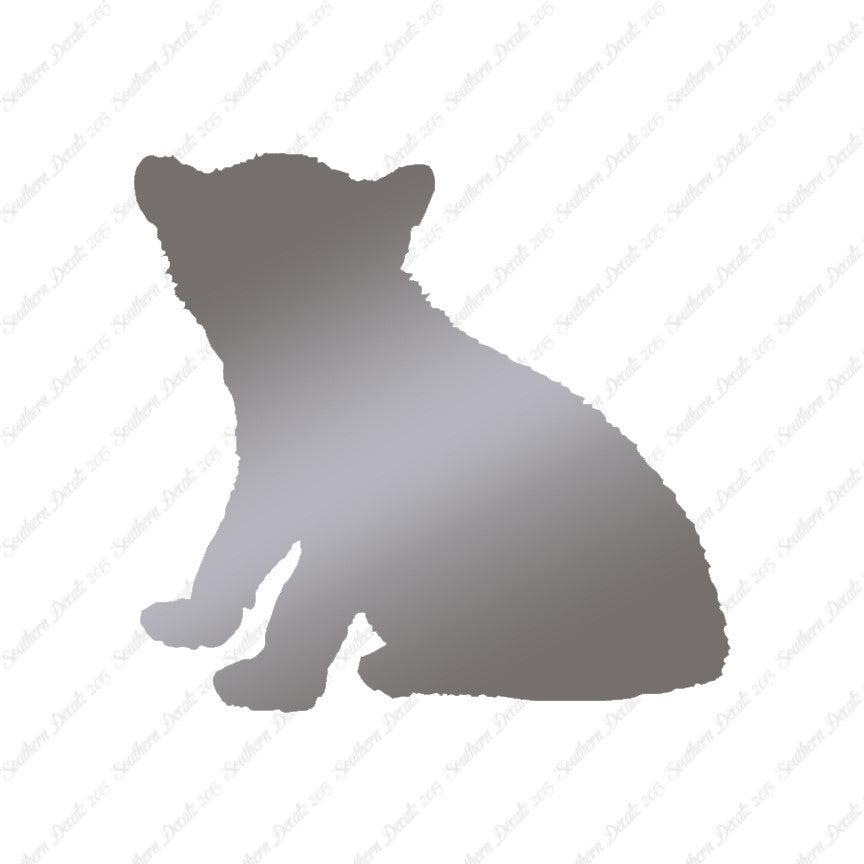 Big Cat Cub Kitten