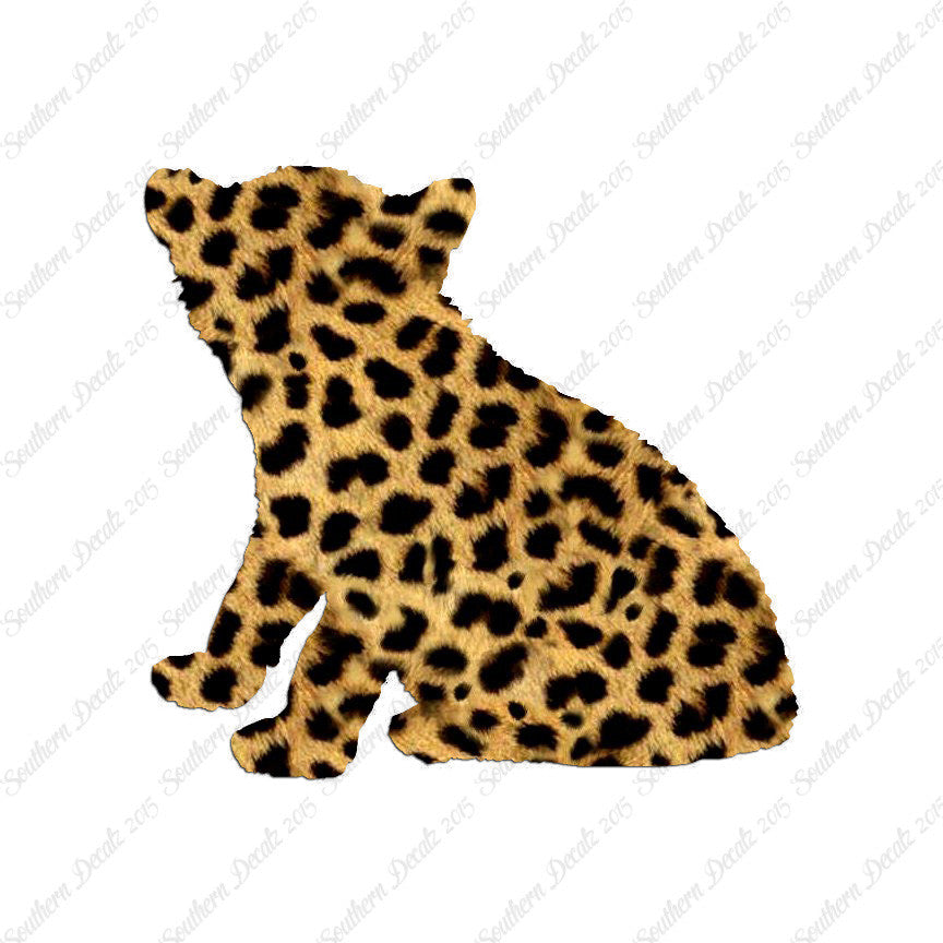 Big Cat Cub Kitten