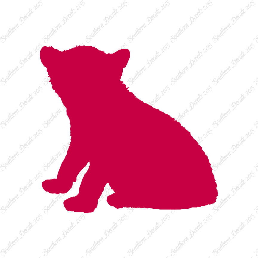 Big Cat Cub Kitten