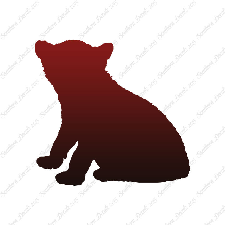 Big Cat Cub Kitten