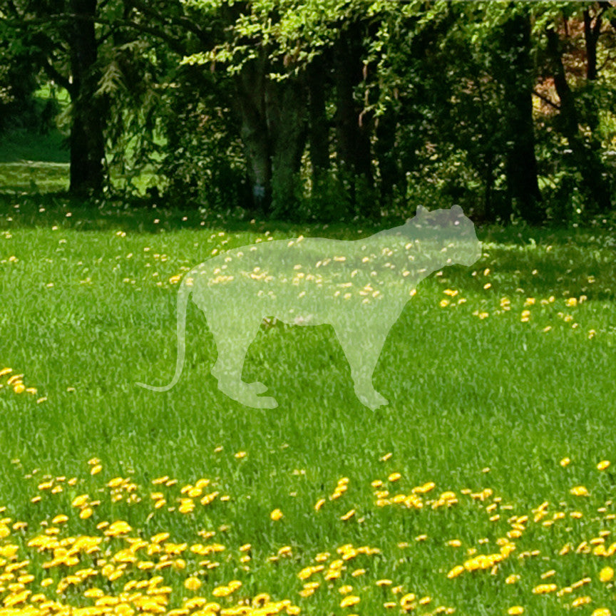Big Cat Panther Tiger Silhouette