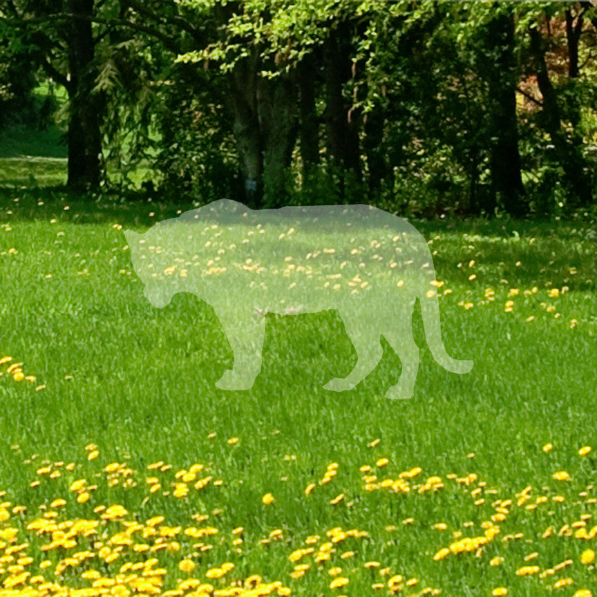 Big Cat Tiger Panther Silhouette