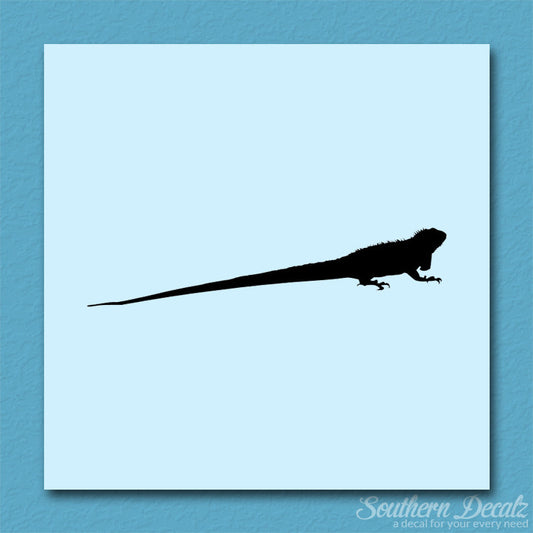 Iguana Lizard