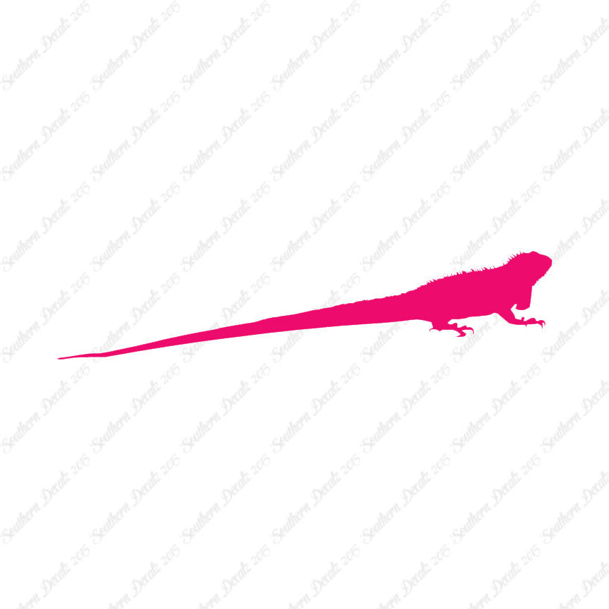 Iguana Lizard