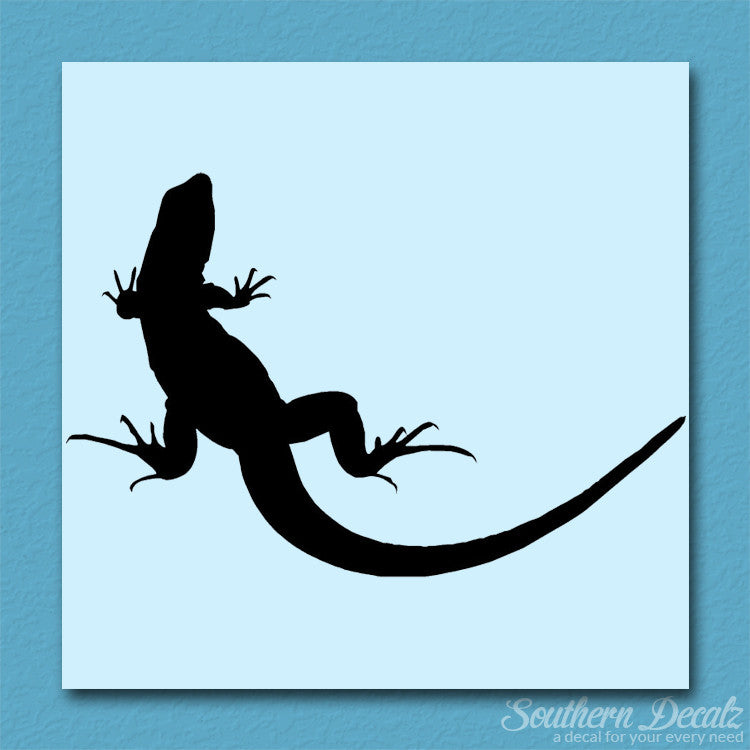 Garden Lizard Gecko Anole