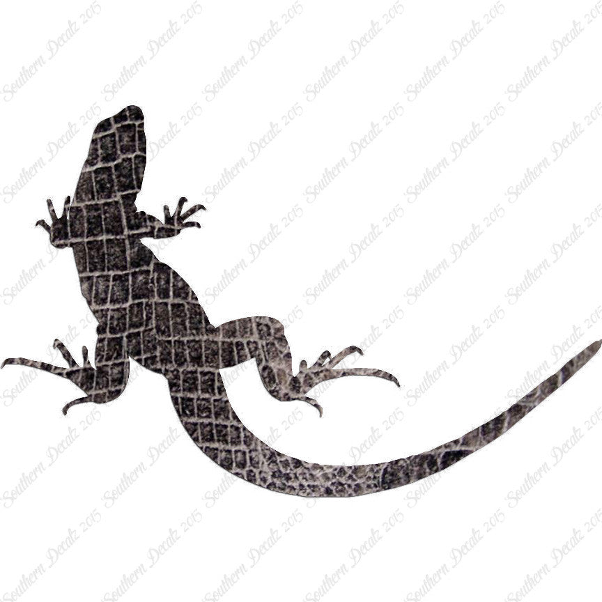 Garden Lizard Gecko Anole