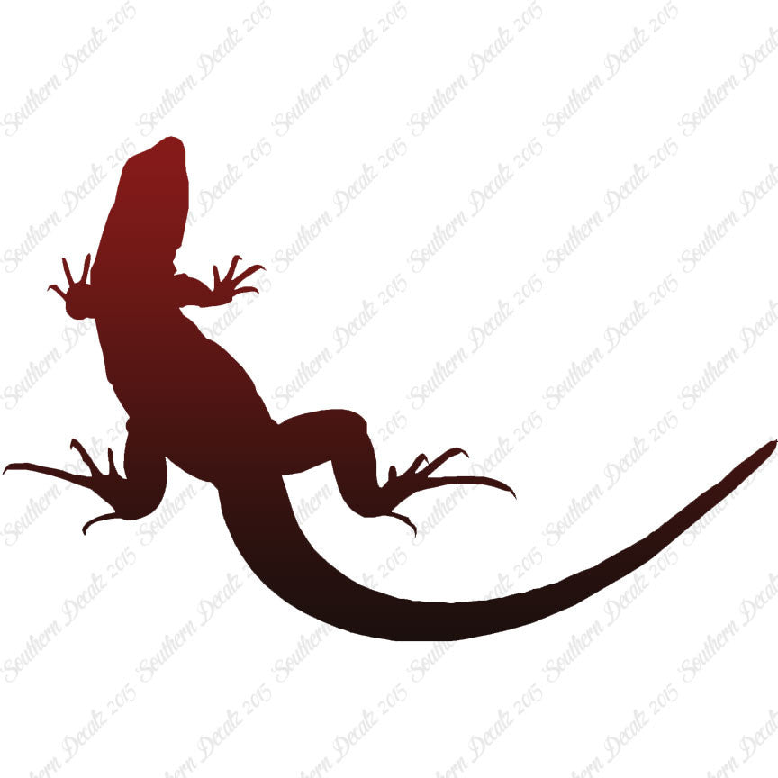 Garden Lizard Gecko Anole