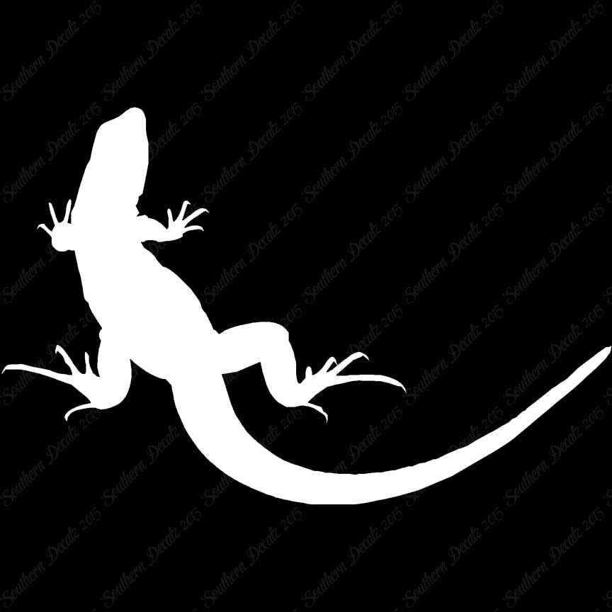 Garden Lizard Gecko Anole
