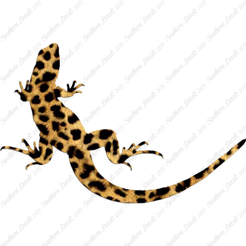 Garden Lizard Gecko Anole