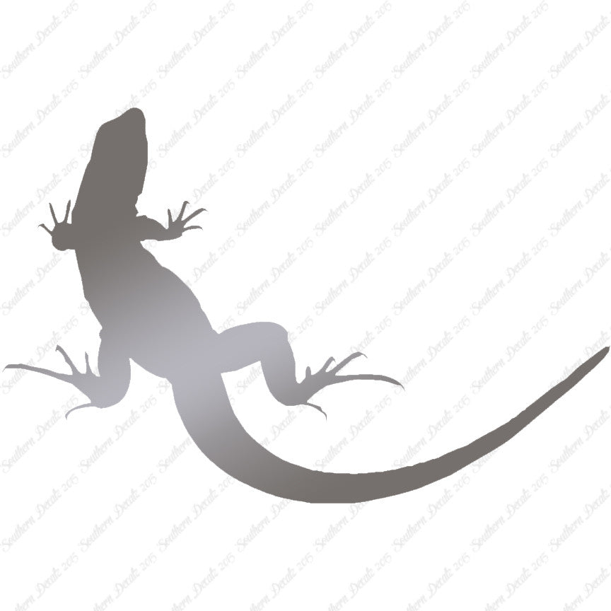 Garden Lizard Gecko Anole