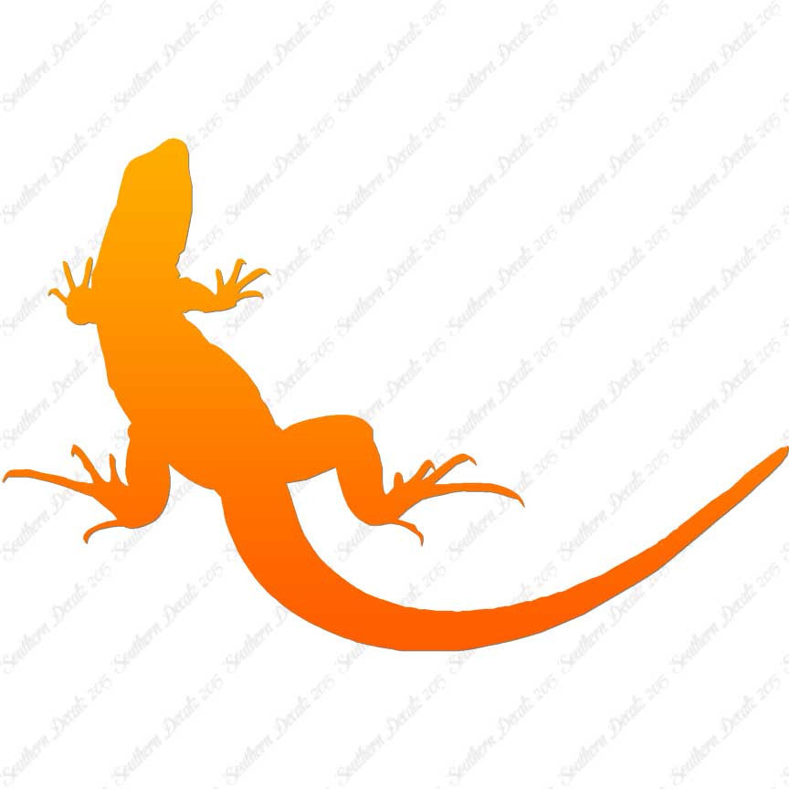 Garden Lizard Gecko Anole