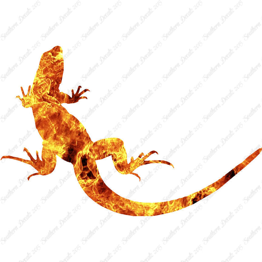 Garden Lizard Gecko Anole