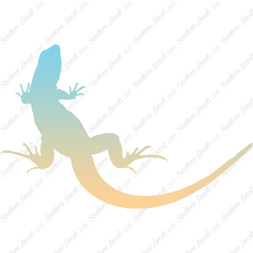 Garden Lizard Gecko Anole