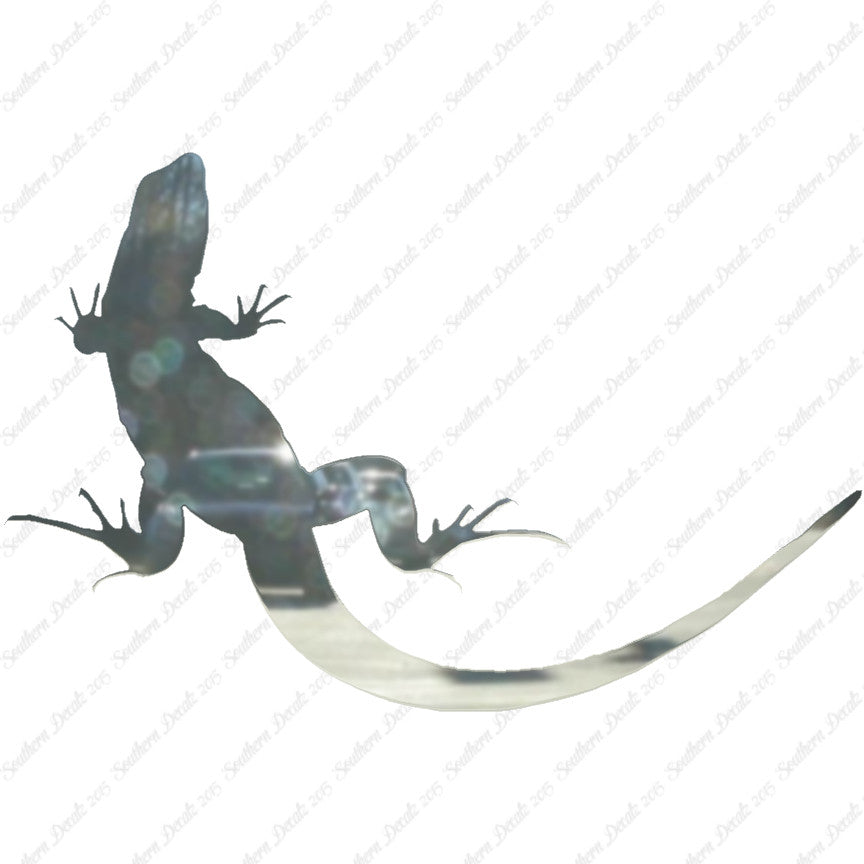 Garden Lizard Gecko Anole