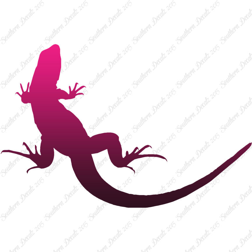 Garden Lizard Gecko Anole