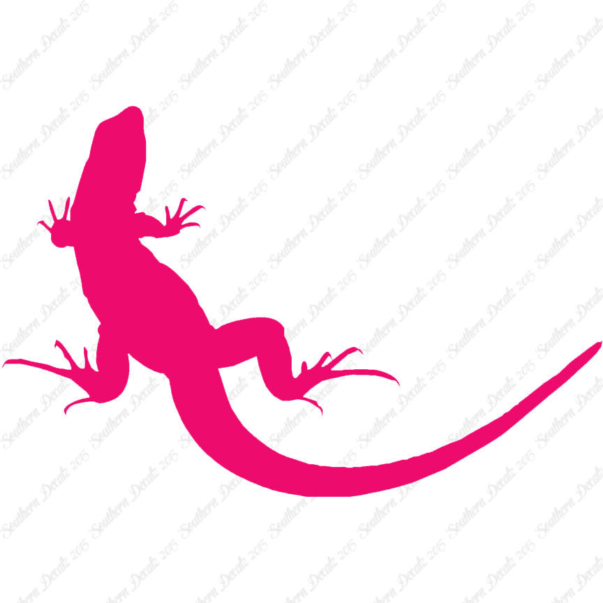 Garden Lizard Gecko Anole