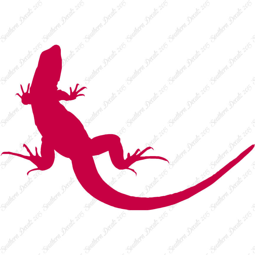 Garden Lizard Gecko Anole