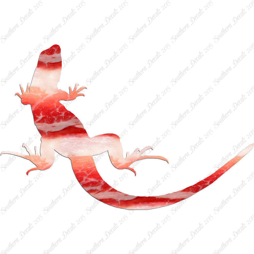 Garden Lizard Gecko Anole